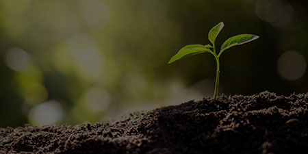 croissance - Coaching Professionnel
